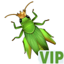 Grasshopper-VIP