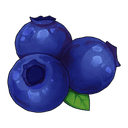 Blueberry Farm