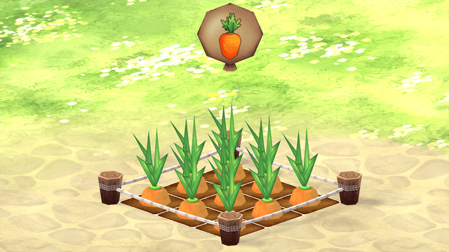 Carrot Farm