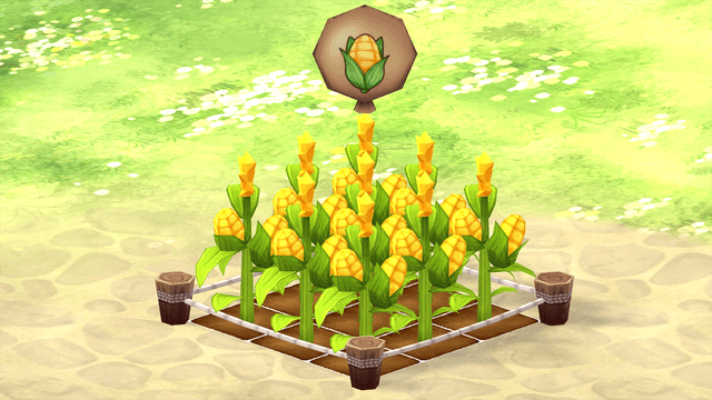 Corn Farm